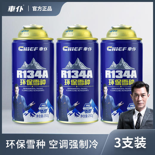 车仆汽车空调制冷剂 R134a环保雪种 车用冷媒 无氟利昂r22正品冷冻油 商品图0