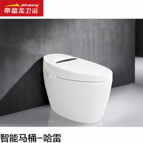 帝富龙 标配 智能马桶  哈雷坐便器B   特价