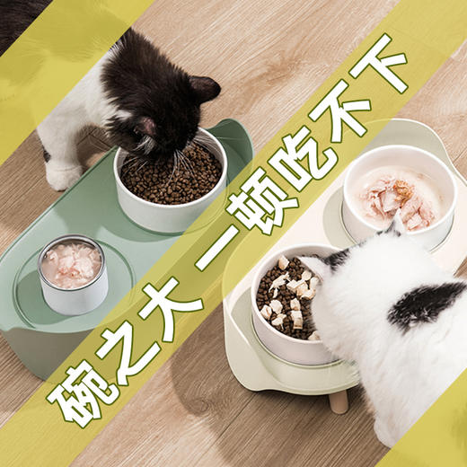 猫咪碗陶瓷保护颈椎双碗防打翻狗狗宠物碗猫食盆幼猫用品 商品图0