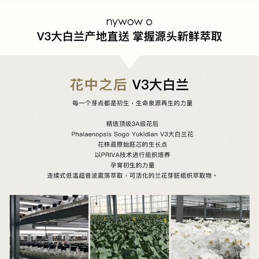 nywow o兰花精粹紧致光嫩雪兰乳70ml [D类] 商品图8