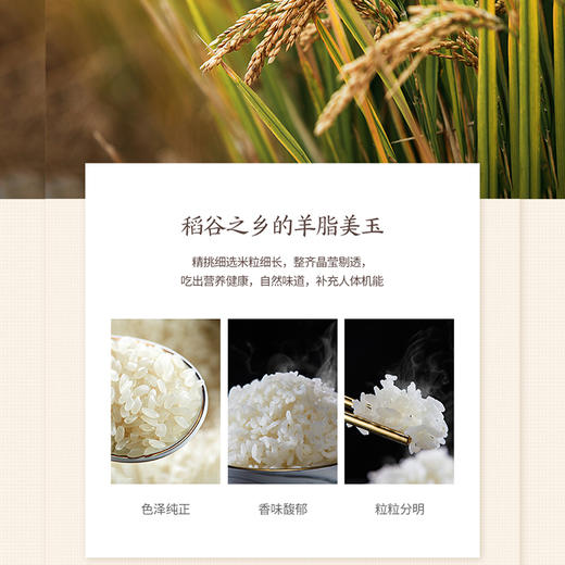 金鹤2020年新米东北长粒香大米5kg官方旗舰店黑龙江自产粳米10斤 商品图5
