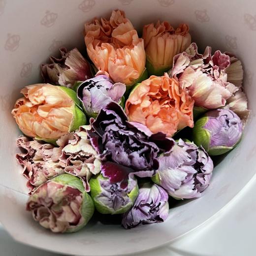 单头康乃馨 | 混色 商品图0