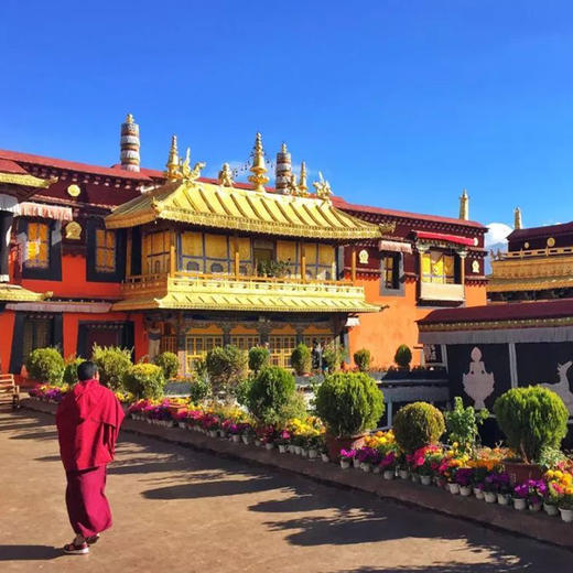 雪域明珠丨西藏拉萨·布达拉宫·3小时深讲【大咖说®】 商品图4