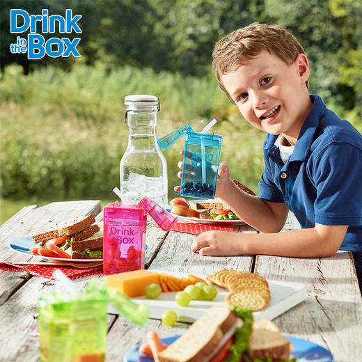 加拿大Drink in the Box儿童果汁杯吸管杯 商品图3