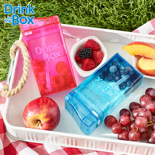 加拿大Drink in the Box儿童果汁杯吸管杯 商品图0