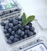 有机蓝莓 新鲜脆甜 125克 商品缩略图0