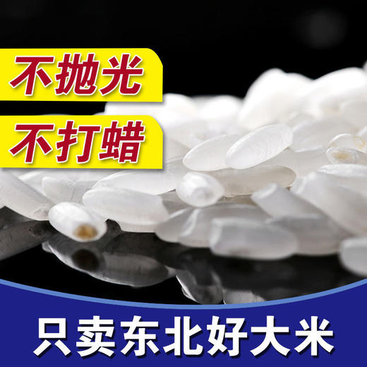 东北富硒大米10斤长粒香梗米 商品图4
