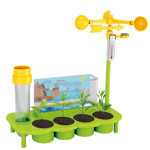 暖爸 儿童生态气象站植物培育温度雨量风力观测男孩女孩幼儿园学生小盆栽种植观察玩具 商品图2