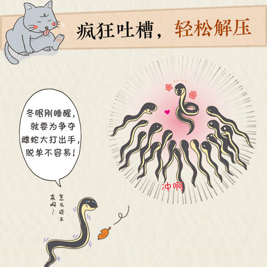 动物吐槽大会 今泉忠明 著 漫画 商品图1