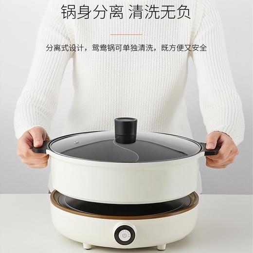 九阳电磁炉(电火锅)C21-HG3【TY5.0】 商品图2
