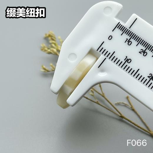 F066(整包购买) 商品图8