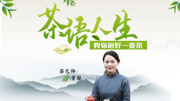 茶语人生  教你泡一壶好茶