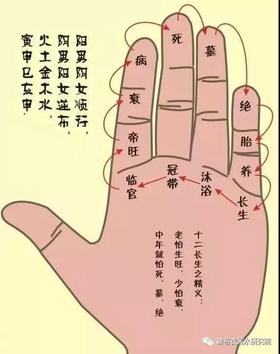 为什么你总是很累，但却什么都没做？（二）