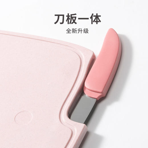 双枪婴儿辅食菜板防霉有效刀具套装宝宝辅食机料理切水果砧板 商品图1
