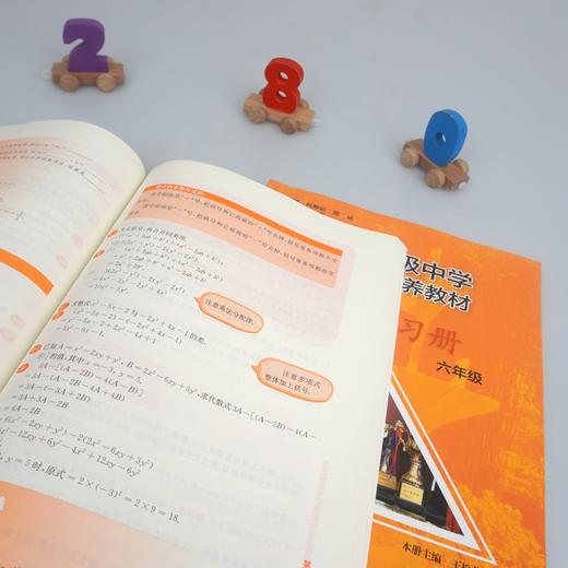 【上海版】市北初级中学资优生培养教材 六年级数学+练习册  全新修订版 商品图5