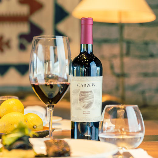 乌拉圭嘉颂丹娜珍藏红葡萄酒bodegagarzonreservetannatmaldonadogz01