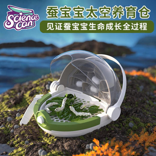 【云优选】【送20条蚕卵+1包桑叶】科学罐头蚕宝宝养殖太空舱儿童昆虫观察盒学生活物养育桶养蚕套装 （产品一旦寄出则不能拦截或退货，介意慎拍，敬请谅解） 商品图0