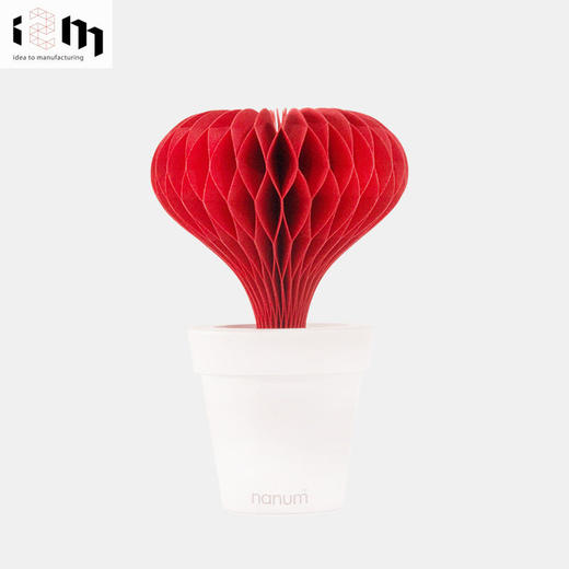 【已下架】积分兑换 | 韩国nanum创意不插电LovePot爱心加湿器自然蒸发盆栽绿色环保无雾（不支持无理由退换）[福利品] 商品图6