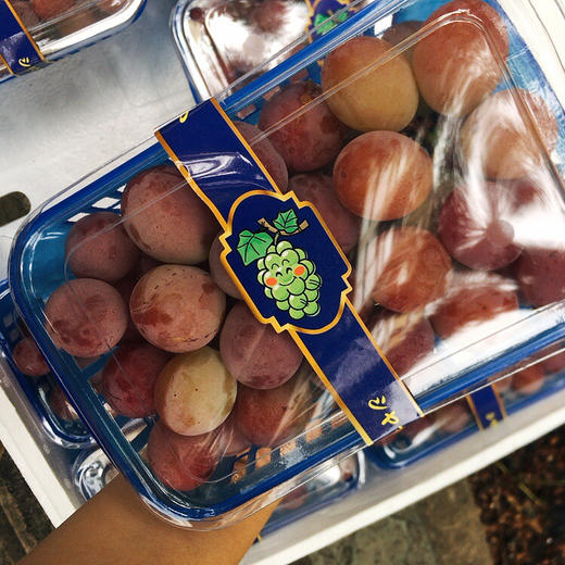 红宝石玫瑰香葡萄 太甜了 商品图11