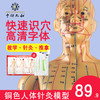 中研太和针灸穴位人体模型医用教学男模型高清50cm经络模型 商品缩略图0
