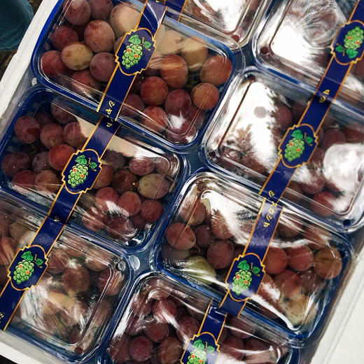 红宝石玫瑰香葡萄 太甜了 商品图12