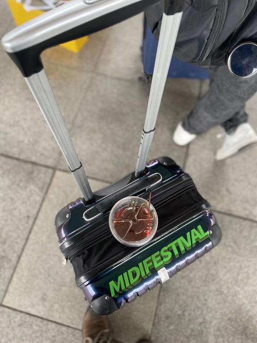 迷笛车贴（迷笛人必入！！可贴光滑的表面） 商品图1