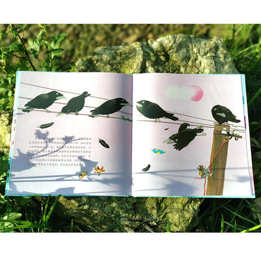 一只彩色的乌鸦 彩色乌鸦系列 0-4周岁宝宝睡前读物阅读绘本亲子共读 商品图3