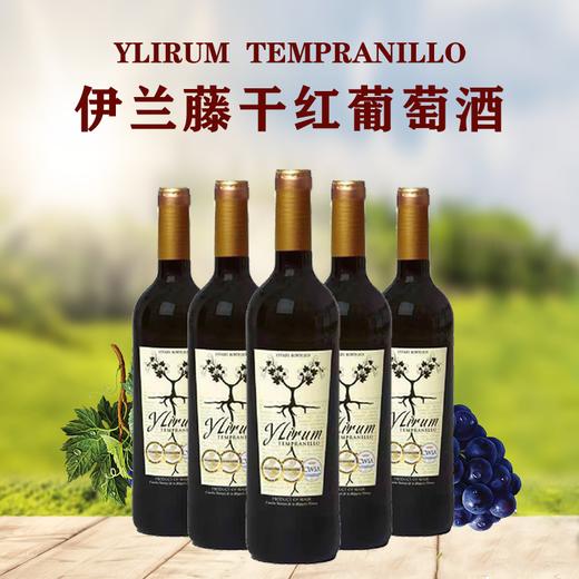 西班牙伊兰藤干红葡萄酒750ml*1瓶/2瓶/6瓶 商品图1