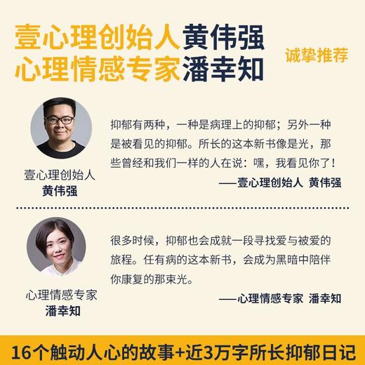 在抑郁这件事上 你并不孤独 所长任有病 著 心理 商品图2