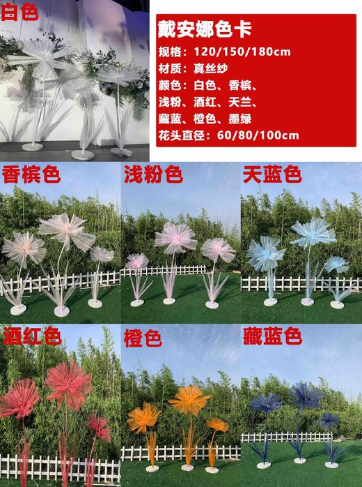 戴安娜【运费自理】 商品图0