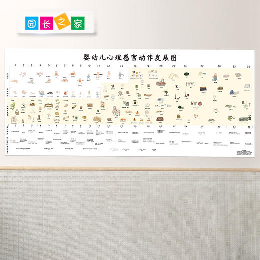 婴幼儿心理感官动作发展图 商品图5