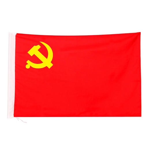 光达党旗3号中国国旗纳米党旗团旗五星红旗大红旗旗帜广告旗班旗公司旗 商品图0