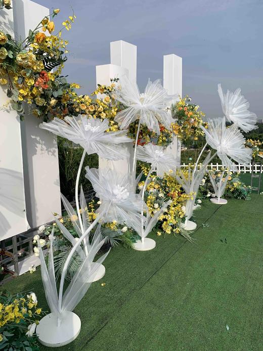 戴安娜【运费自理】 商品图3