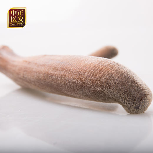 正安 梅花鹿头茬二杠小枝鹿茸 按单枝茸称重  原价23.9/克 活动价17元/克【可免费提供打粉服务 打粉损耗约为整根克重的5%-7%】  商品图6