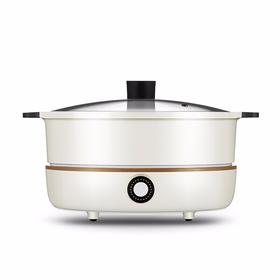 九阳电磁炉(电火锅)C21-HG3【TY5.0】