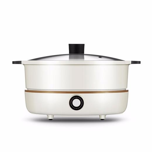 九阳电磁炉(电火锅)C21-HG3【TY5.0】 商品图0