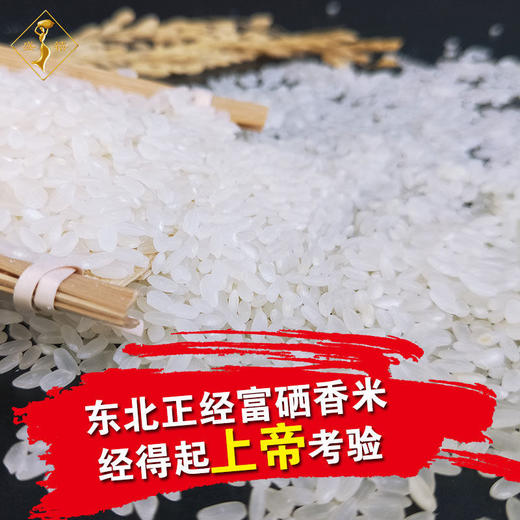 东北富硒大米10斤长粒香梗米 商品图3
