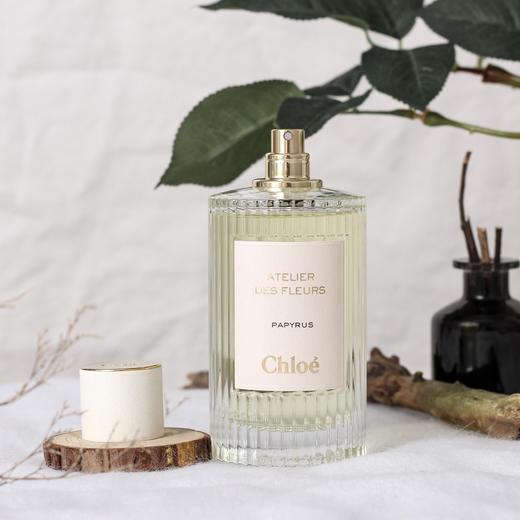 蔻依 仙境花园系列 纸莎草秘境珍香 Chloe Atelier des fleurs Papyrus  分装 商品图1