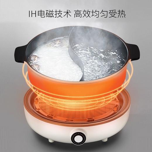 九阳电磁炉(电火锅)C21-HG3【TY5.0】 商品图4