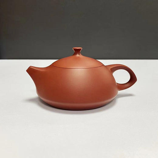 守智壶 商品图0