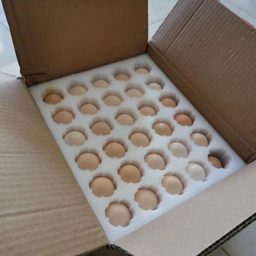 森林大散养【刨刨鸡鸡蛋】30枚/60枚 商品图3