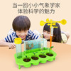 暖爸 儿童生态气象站植物培育温度雨量风力观测男孩女孩幼儿园学生小盆栽种植观察玩具 商品缩略图0