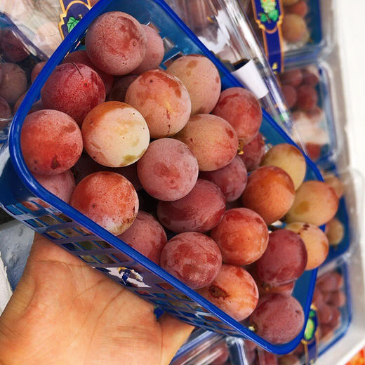 红宝石玫瑰香葡萄 太甜了 商品图8