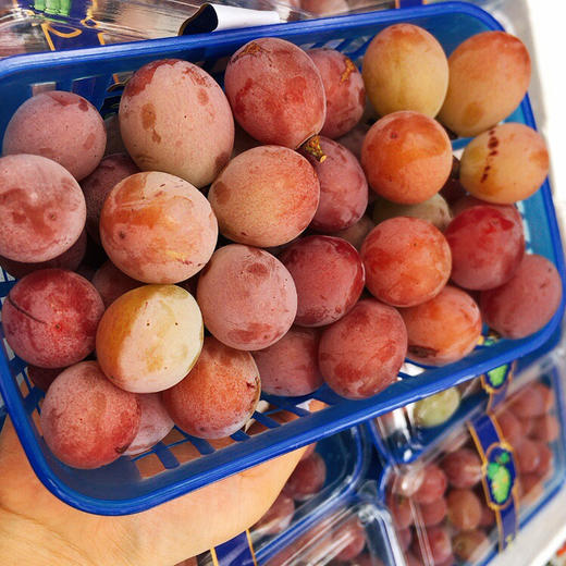红宝石玫瑰香葡萄 太甜了 商品图6