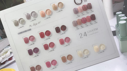 CS小野莓24色套装（秒杀） 商品图0