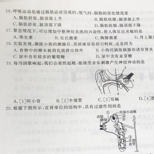 期末冲刺金考卷 生物 七年级 下册 人教版 商品图3