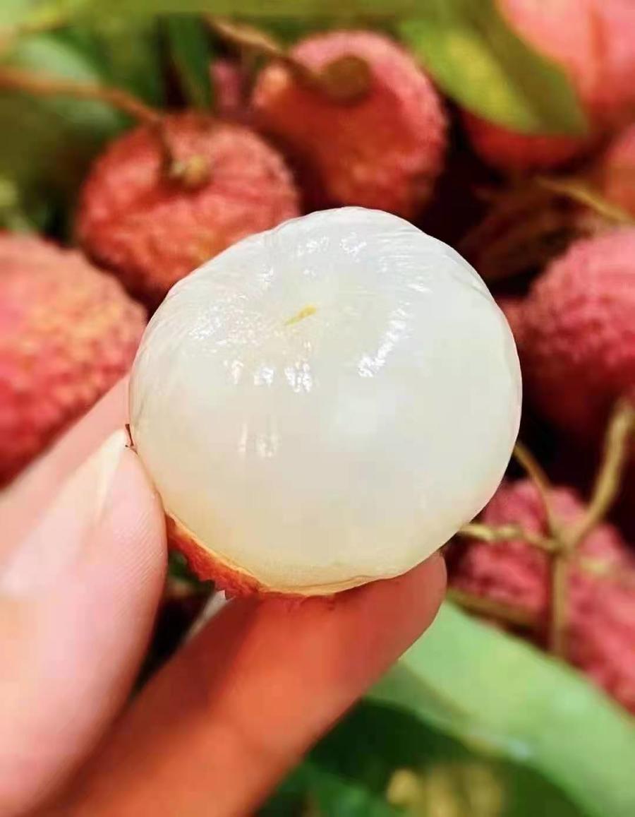 【蜜极物语.玉荷包荔枝】约3斤/箱 肉厚脆爽 甜度高 汁水丰富