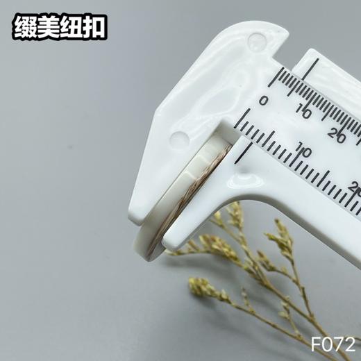 F072(整包购买) 商品图5