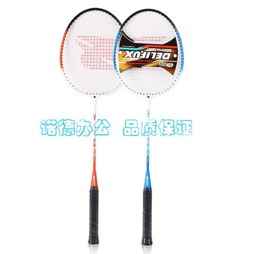 【45元/付】得力风行F2101羽毛球拍【带羽毛球】(1406615) 商品图0