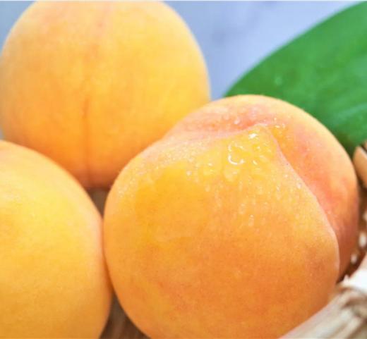 【蒙阴锦香蜜桃 4.5斤】| 来自中国蜜桃之都，硬着吃脆甜，软了吃淌汁儿，满足你对桃的所有想象 商品图5